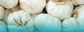 Garlic Cloves behind a teal overlay